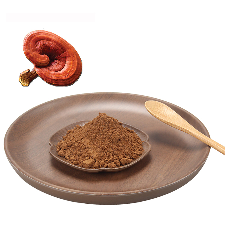 Fine Grind USDA Certified Organic Red Reishi Mushroom Extract Powder – Ideal for High-Potency Applications